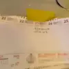 Uyuşturucu Üretiminde Hapiste Kenevir Makbuzu